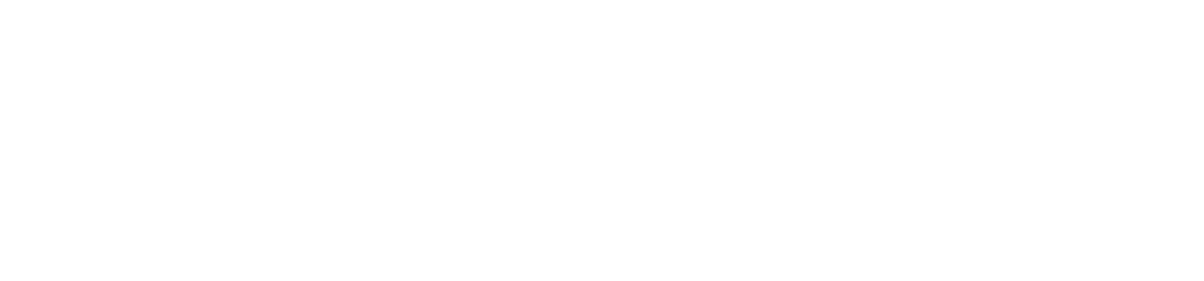 Viper IT